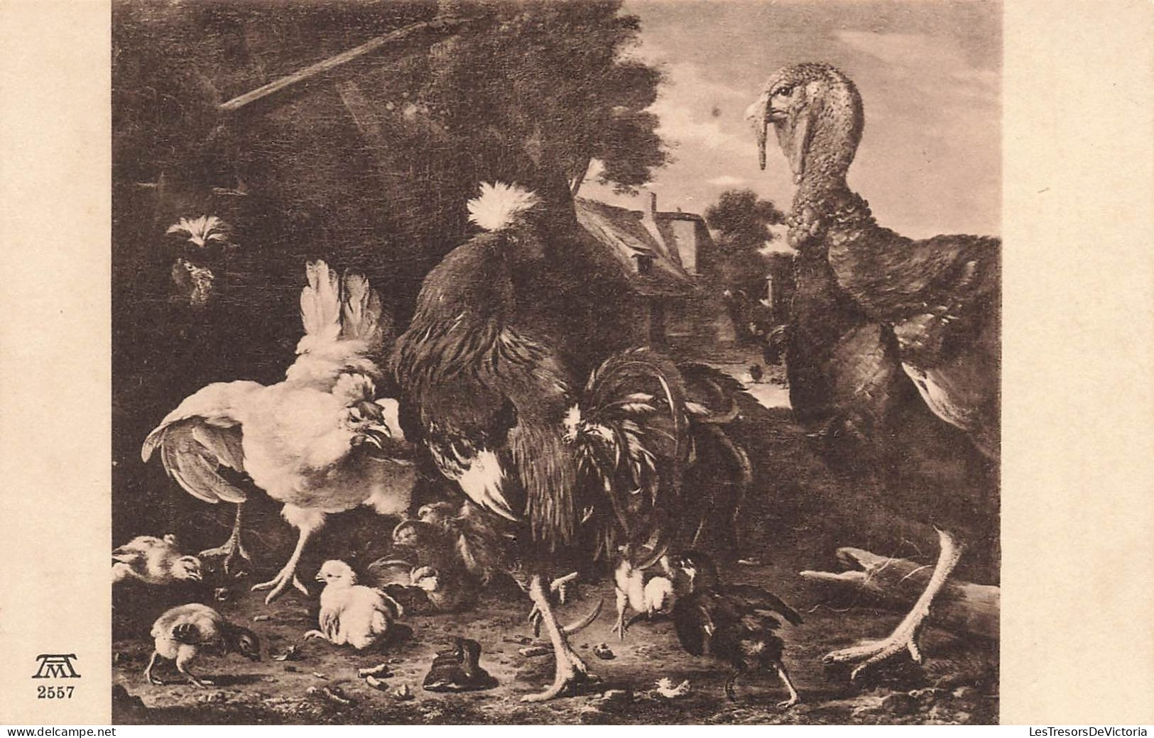 ANIMAUX & FAUNE - Volailles - Poule - Coq - Dindon - Poussins - Carte Postale Ancienne - Other & Unclassified