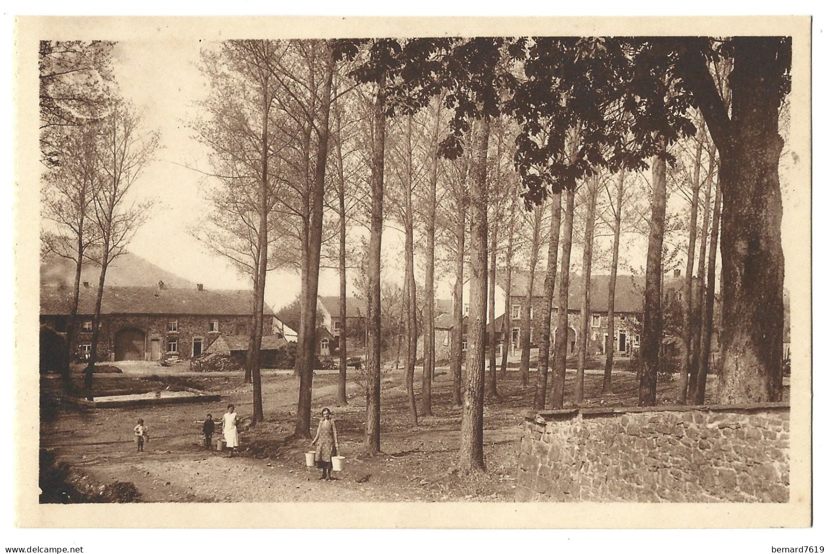 Belgique  -  Mormont - Edit Cafe Des Bons Amis J Valentin - Dewere -   Le Baty  - Les Peupliers - Arbre - Erezée