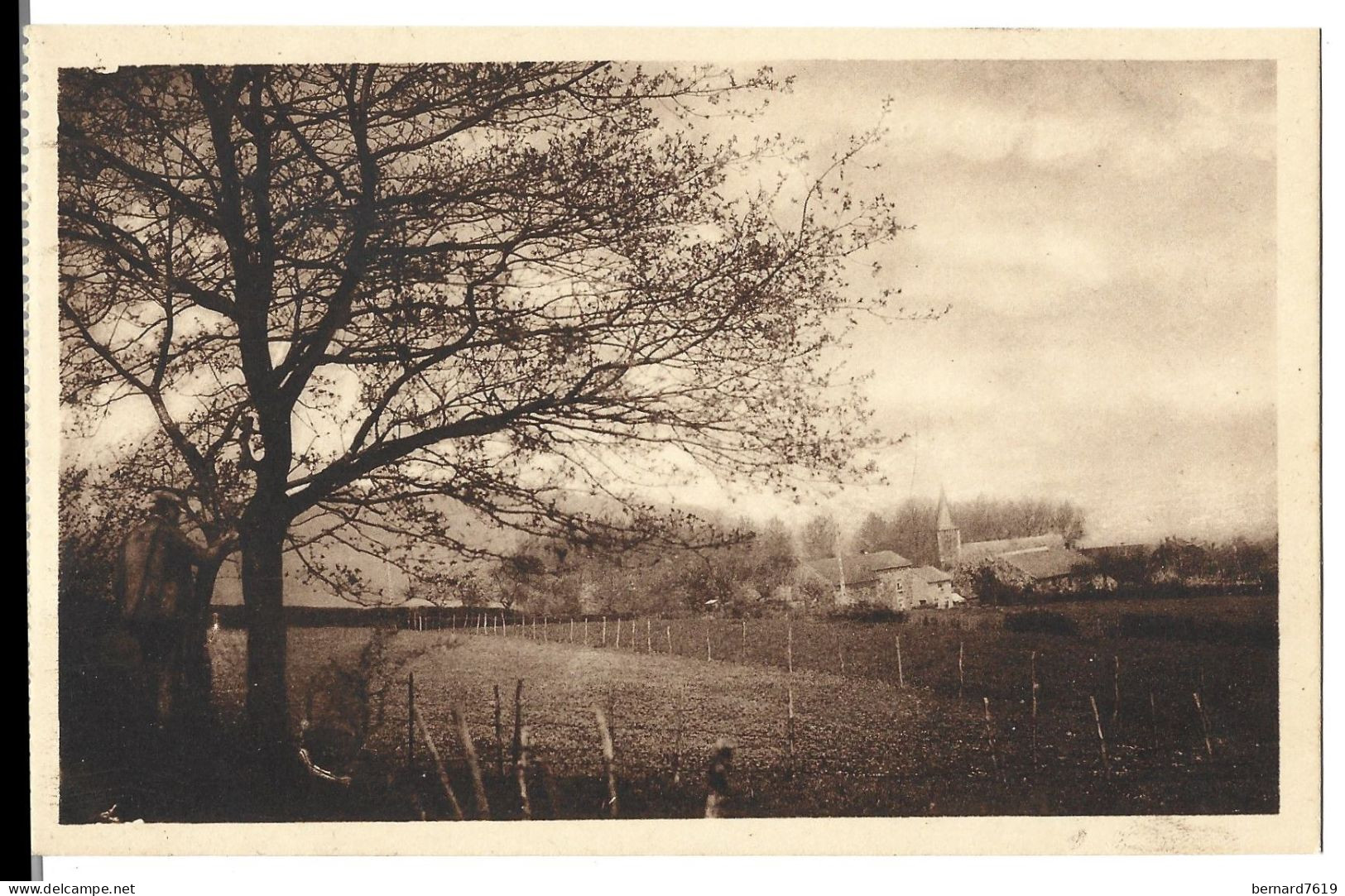 Belgique  -  Mormont - Edit Cafe Des Bons Amis J Valentin - Dewere -   Panorama - Arbre - Erezée