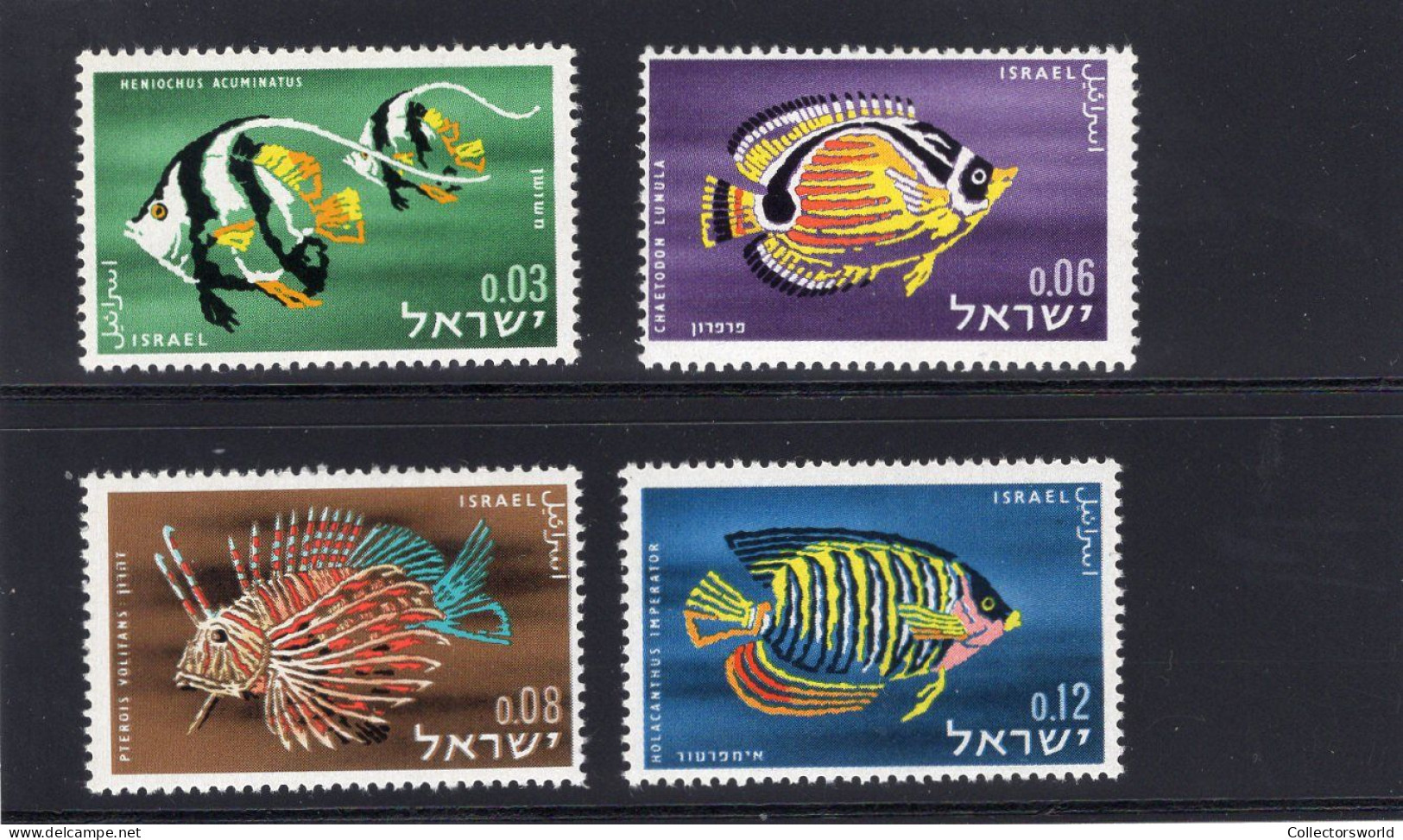 Israel 4v 1962 Red Sea Fish MNH - Ongebruikt (zonder Tabs)