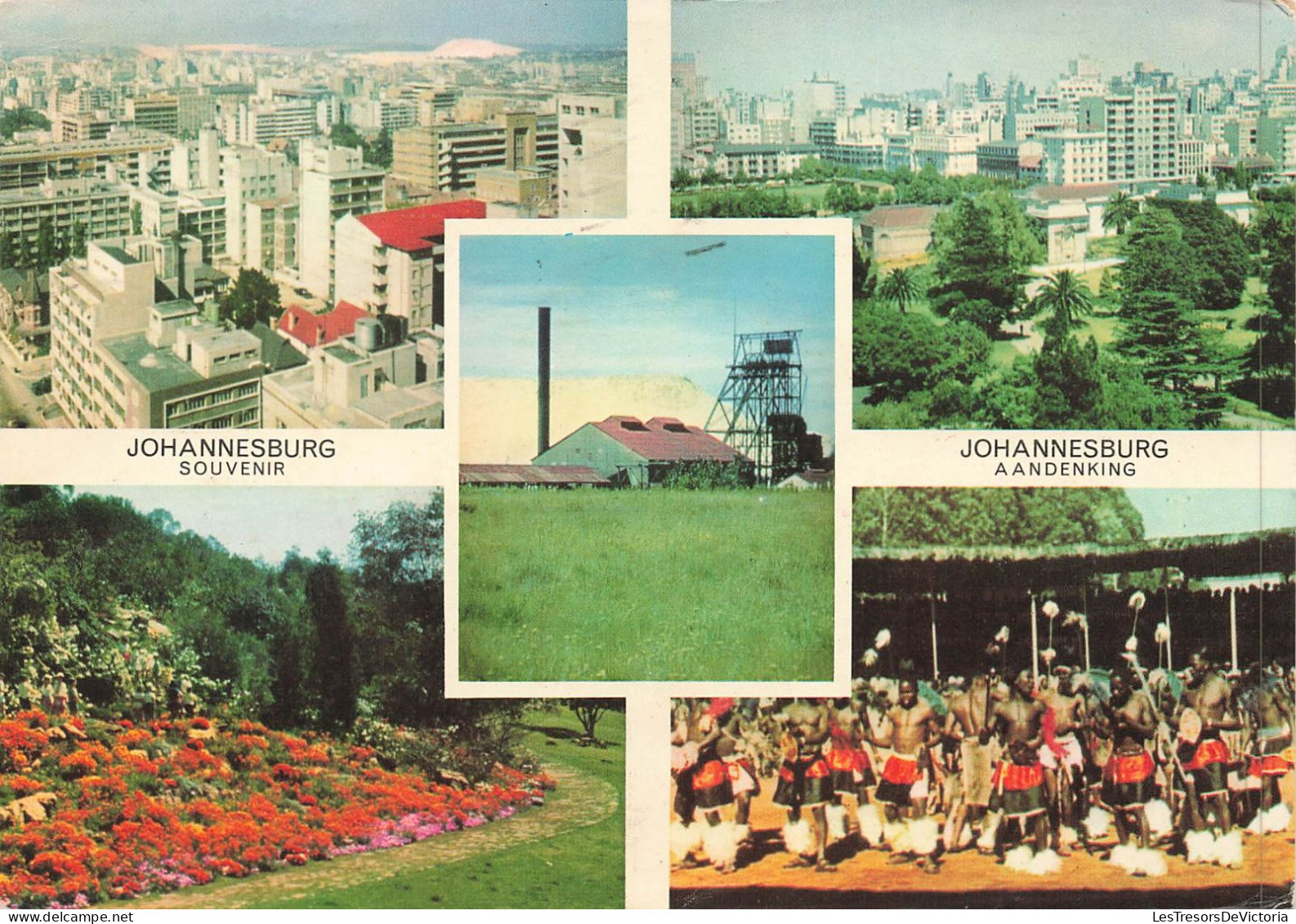 AFRIQUE DU SUD - Johannesburg Souvenir - Colorisé - Carte Postale - Zuid-Afrika