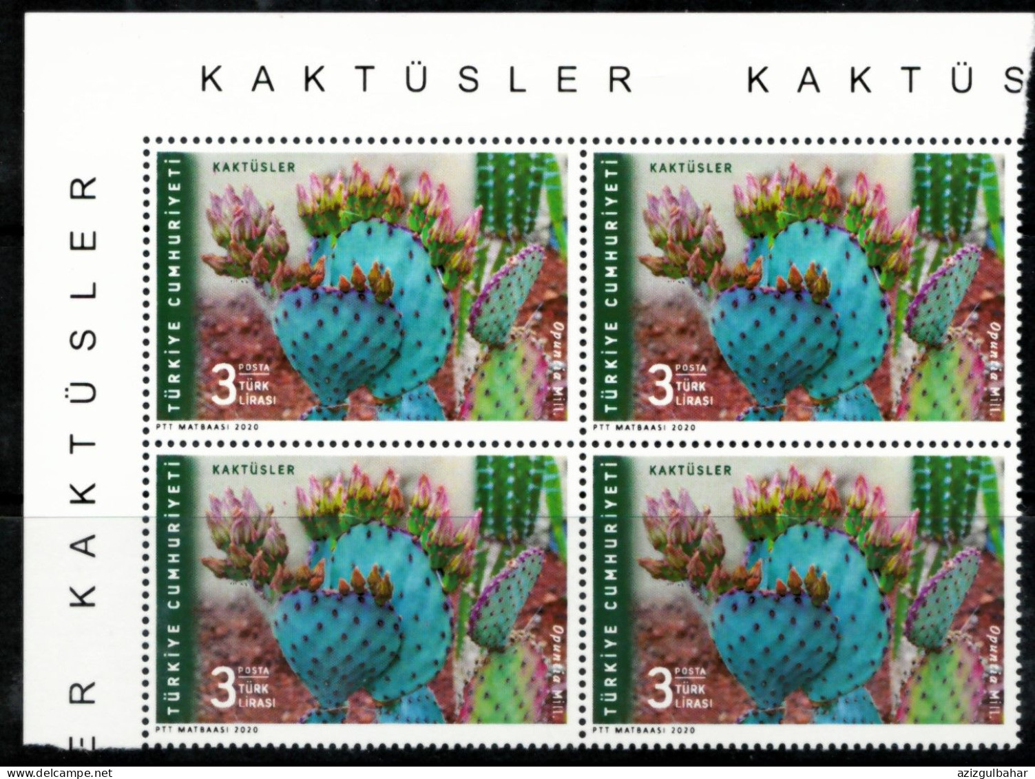 TURKEY - CACTI - BLOCK OF 4 CORNER - Unused Stamps