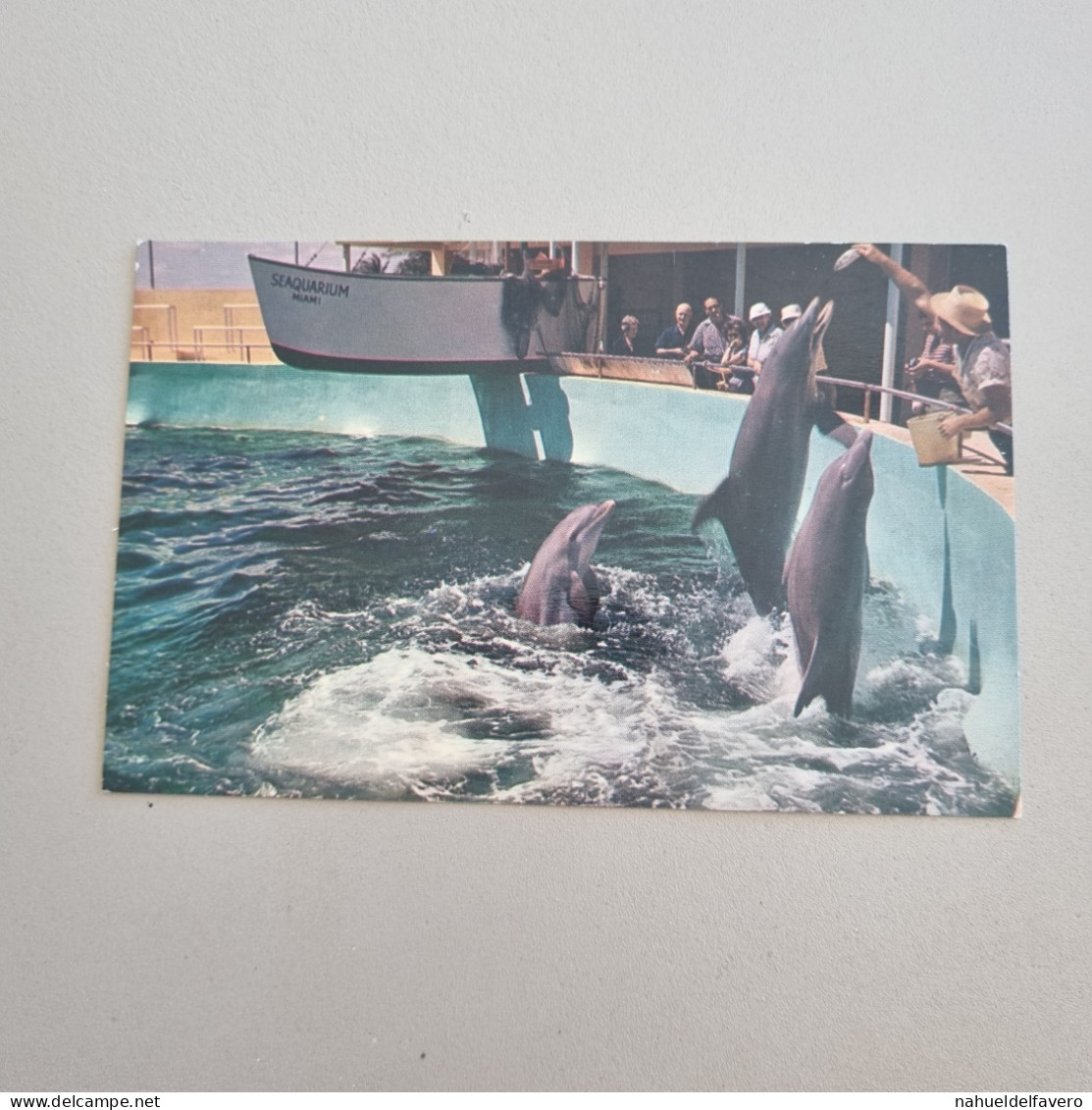 Uncirculated Postcard - FLORIDA - MIAMI - Sea Wonder Of The World - Miami