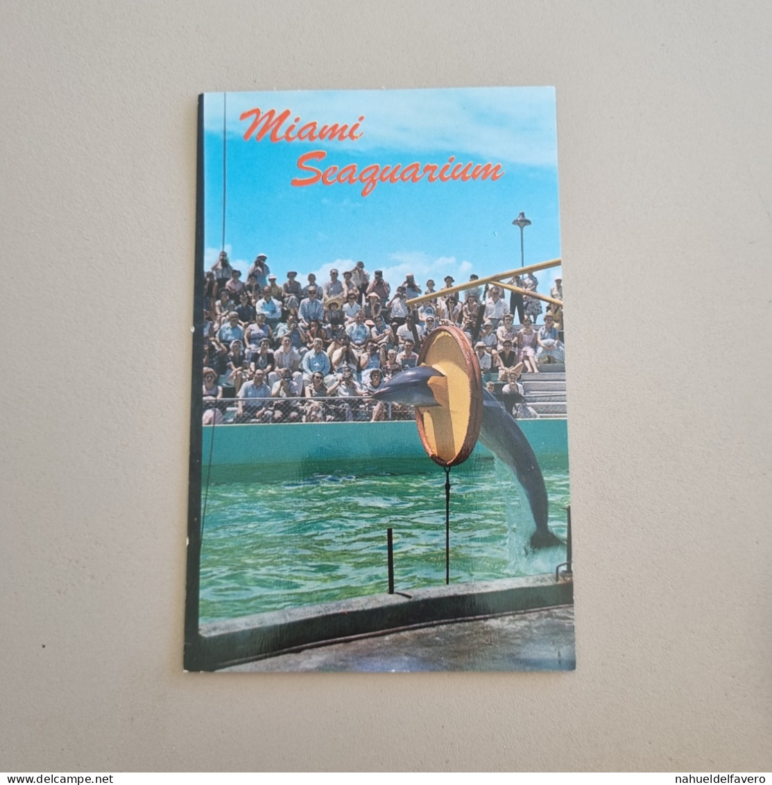 Uncirculated Postcard - FLORIDA - MIAMI - Miami's Fabulous Seaquarium "Sea Wonder Of The World" - Miami