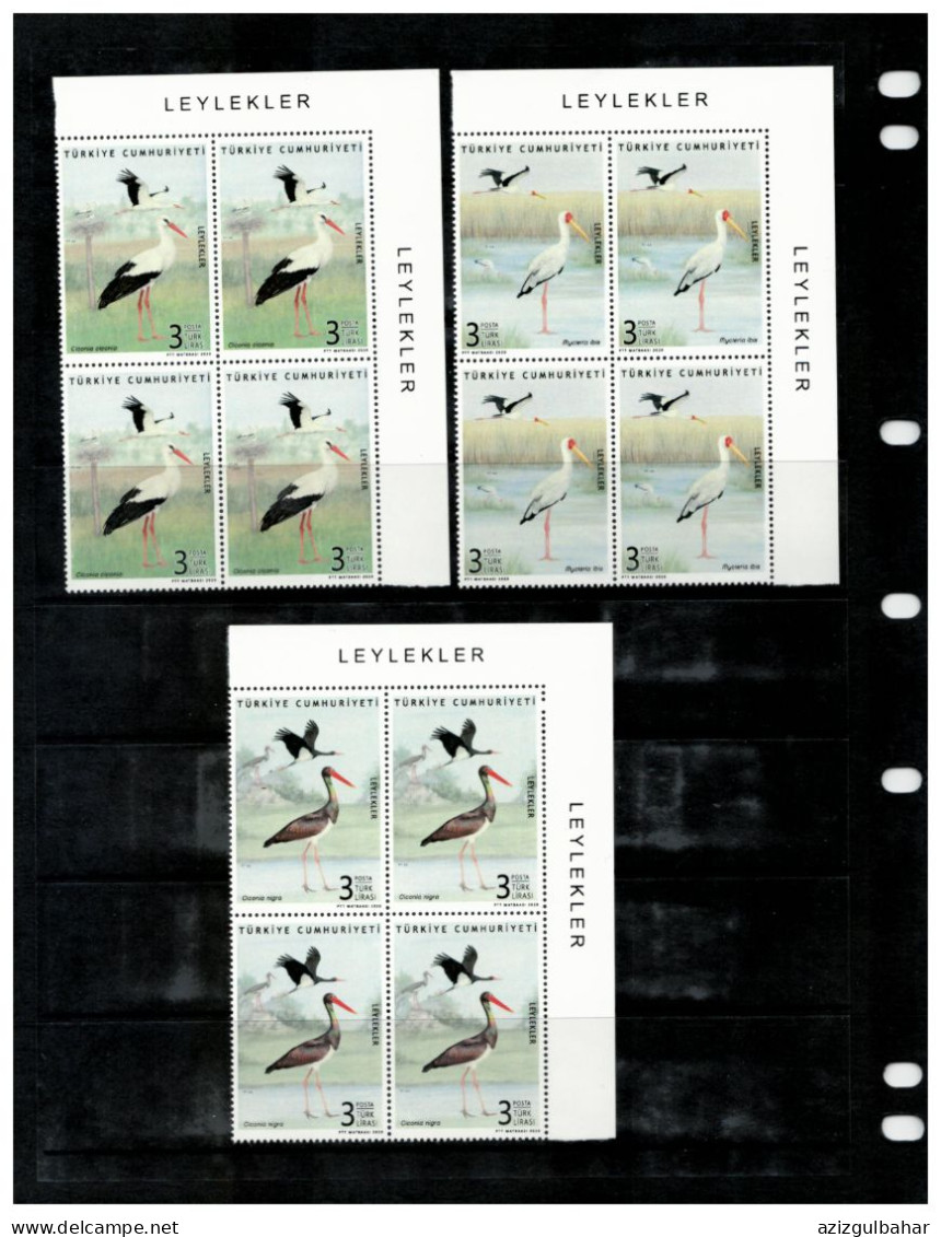 TURKEY -     STORKS - LEYLEKLER - BLOCK OF 4 - Nuovi