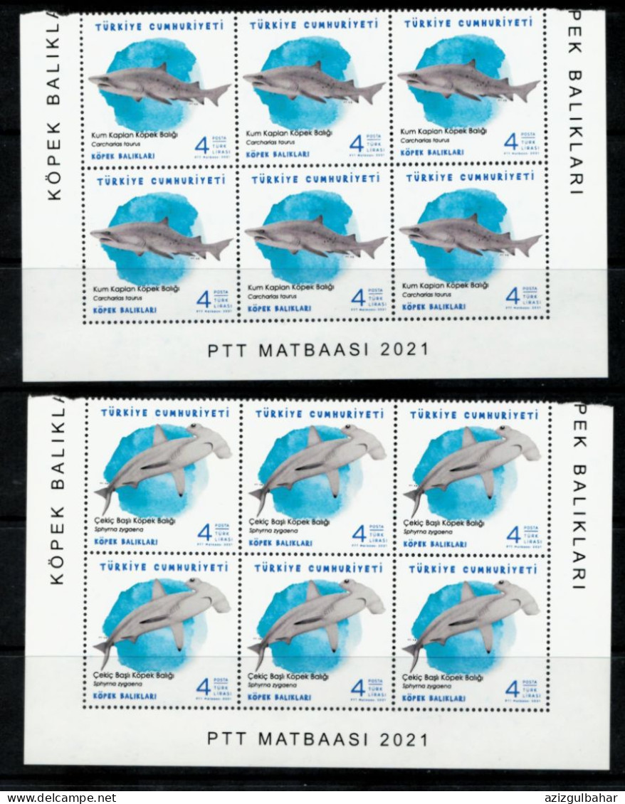 TURKEY -     SHARKS KOPEK BALIKLARI - BLOCK OF 6 - Unused Stamps