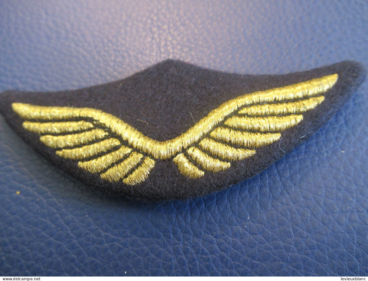 Insigne De Casquette D'aviateur D'époque/ 2 Ailes étendues/ Avec 2 Fixations Au Verso:/ Vers 1980- 1990      CCK34 - Airforce