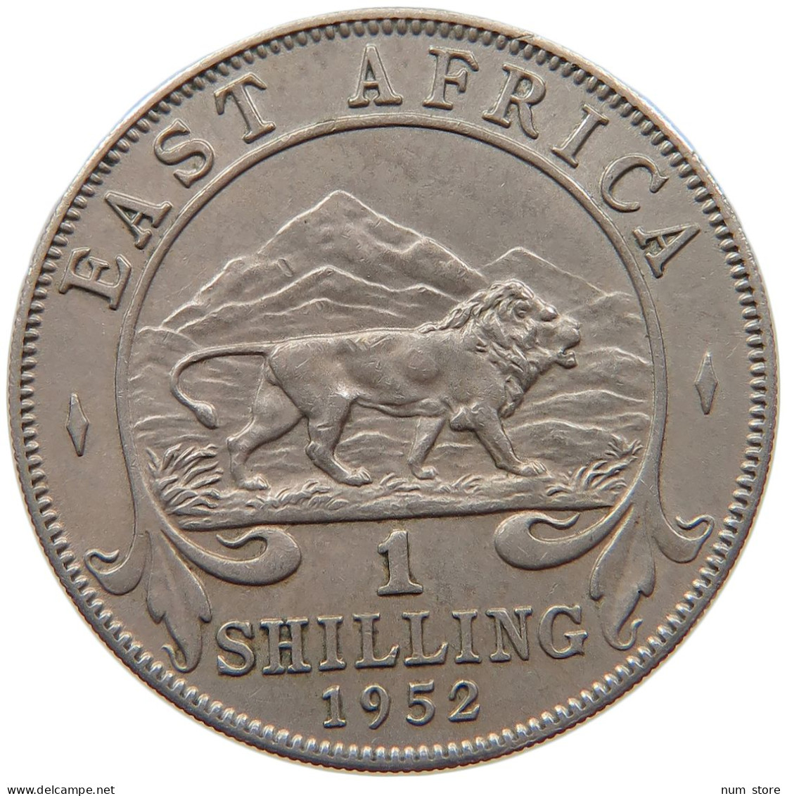 EAST AFRICA SHILLING 1952 George VI. (1936-1952) #s008 0427 - Afrique Orientale & Protectorat D'Ouganda