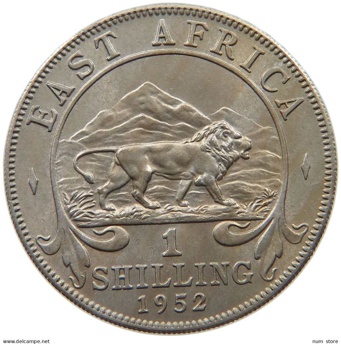 EAST AFRICA SHILLING 1952 George VI. (1936-1952) #c023 0367 - Ostafrika Und Herrschaft Von Uganda