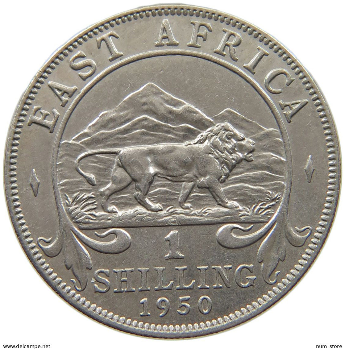 EAST AFRICA SHILLING 1950 George VI. (1936-1952) #c020 0003 - Ostafrika Und Herrschaft Von Uganda