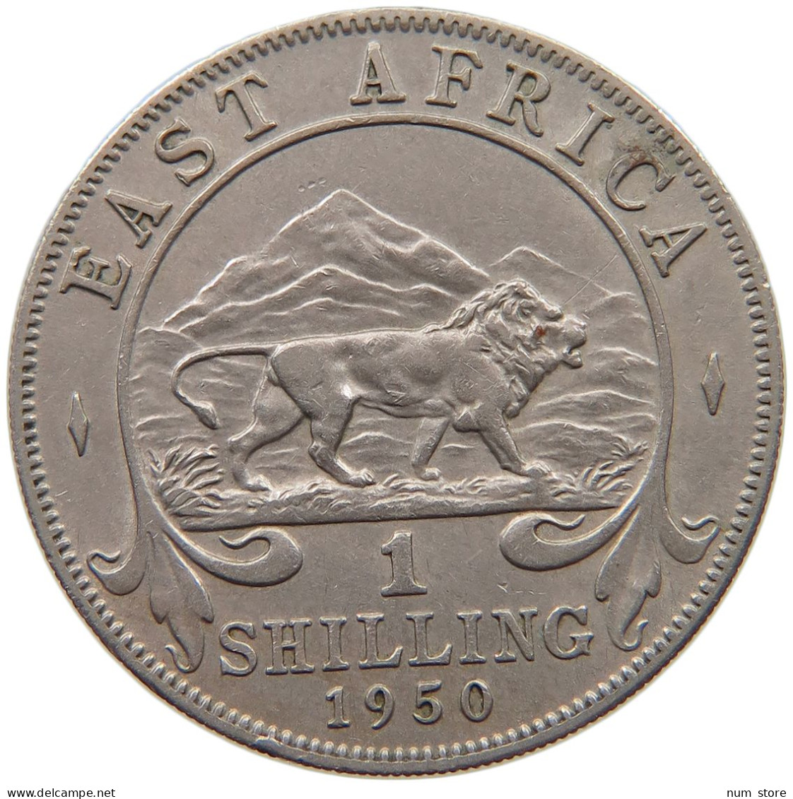 EAST AFRICA SHILLING 1950 George VI. (1936-1952) #c011 0035 - Ostafrika Und Herrschaft Von Uganda