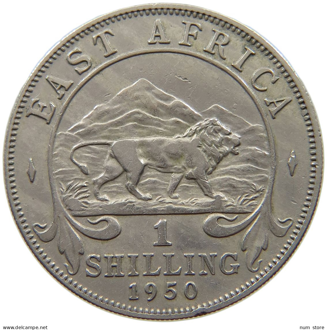 EAST AFRICA SHILLING 1950 George VI. (1936-1952) #a088 0243 - Afrique Orientale & Protectorat D'Ouganda