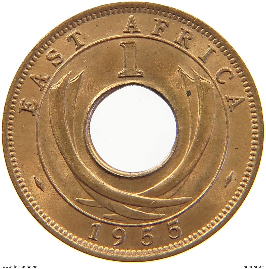 EAST AFRICA CENT 1955 Elizabeth II. (1952-2022) #s023 0355 - Afrique Orientale & Protectorat D'Ouganda