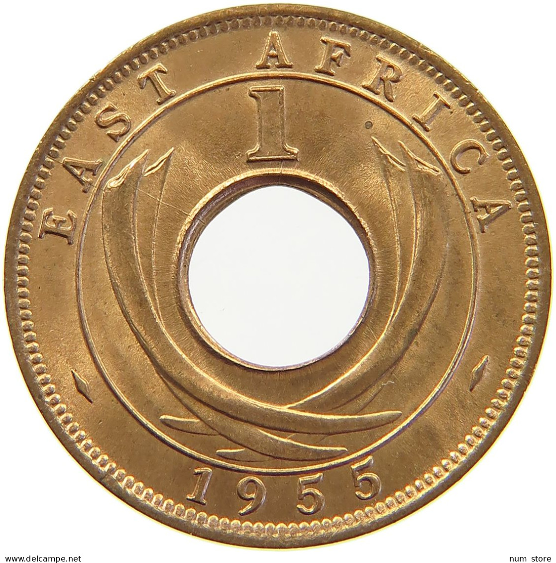 EAST AFRICA CENT 1955 Elizabeth II. (1952-2022) #s023 0357 - Oost-Afrika & Protectoraat Van Uganda