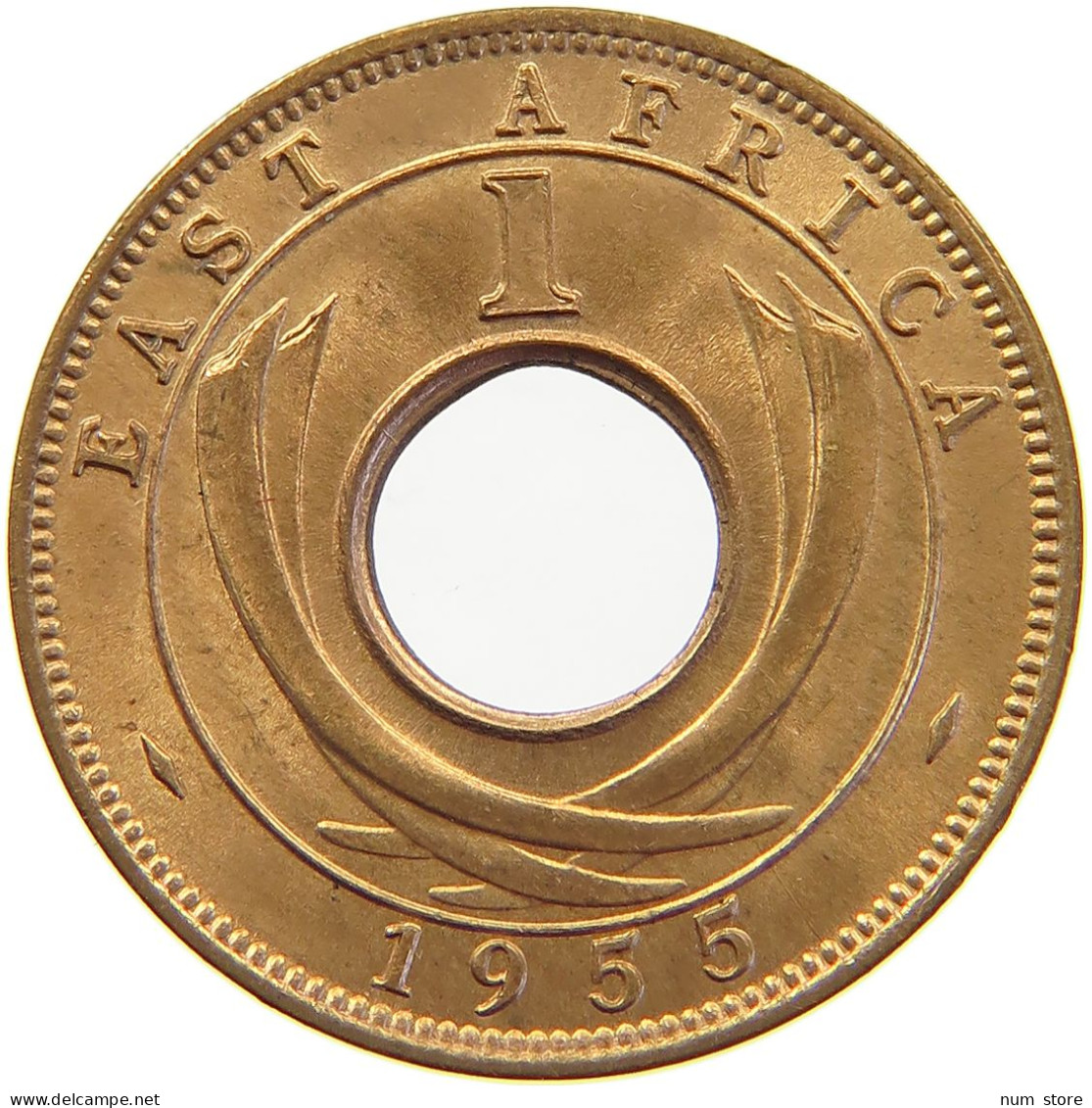 EAST AFRICA CENT 1955 H Elizabeth II. (1952-2022) #s023 0359 - Afrique Orientale & Protectorat D'Ouganda