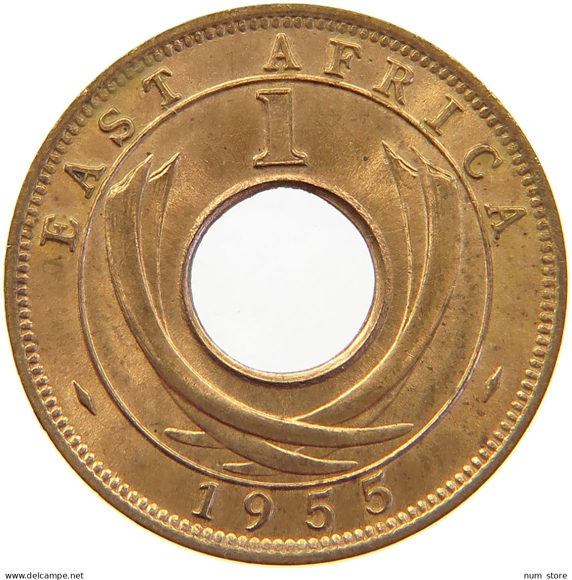 EAST AFRICA CENT 1955 Elizabeth II. (1952-2022) #s023 0371 - Afrique Orientale & Protectorat D'Ouganda