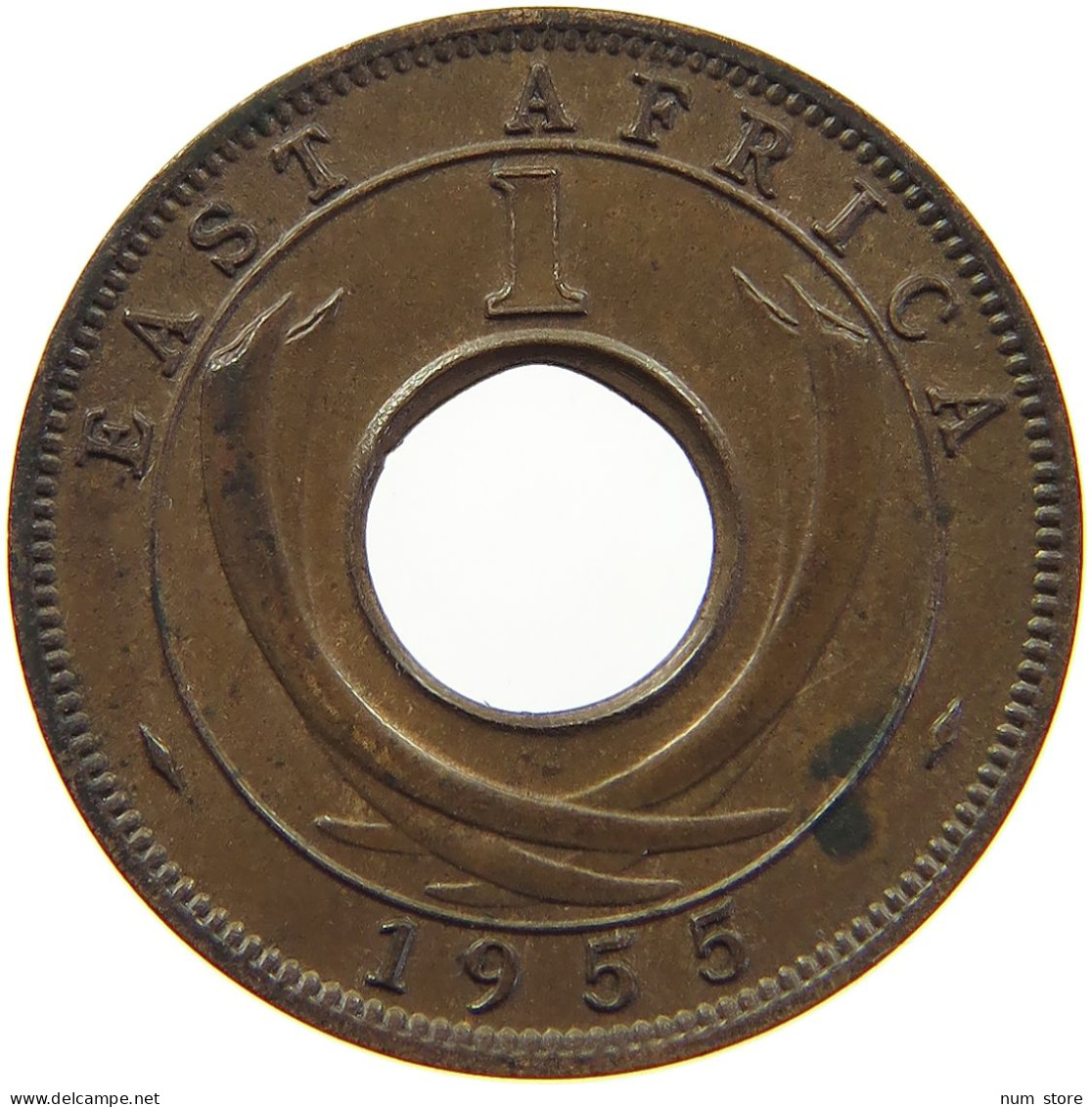 EAST AFRICA CENT 1955 Elizabeth II. (1952-2022) #s008 0173 - Afrique Orientale & Protectorat D'Ouganda