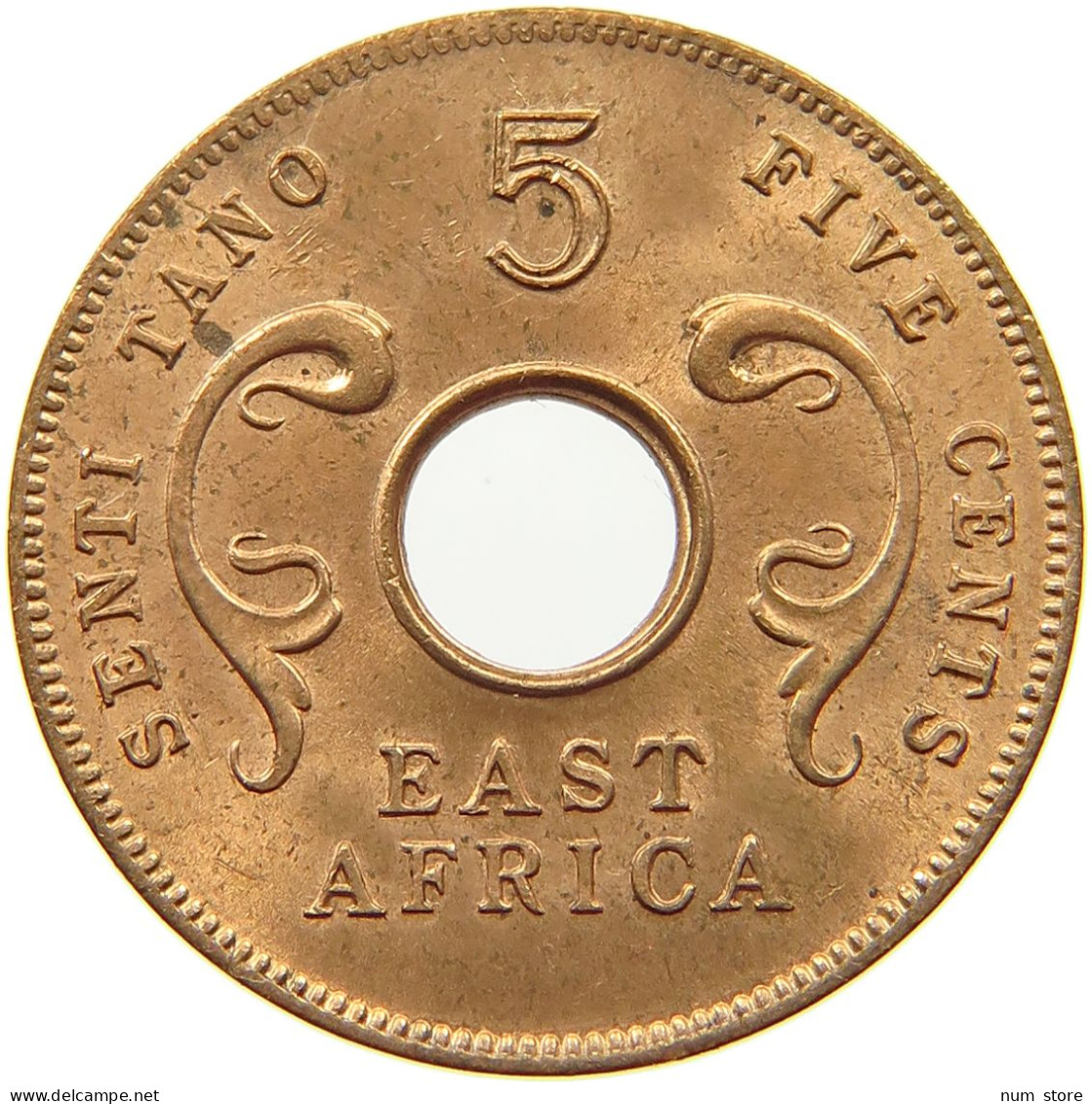 EAST AFRICA 5 CENTS 1964 Elizabeth II. (1952-2022) #s046 0501 - Afrique Orientale & Protectorat D'Ouganda