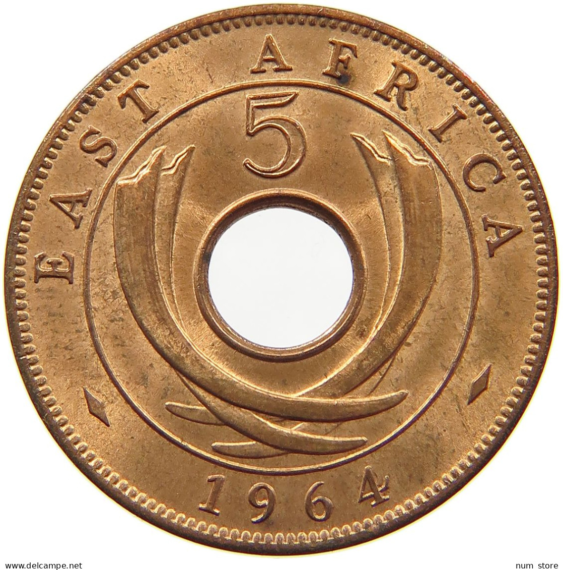 EAST AFRICA 5 CENTS 1964 Elizabeth II. (1952-2022) #a084 0357 - East Africa & Uganda Protectorates