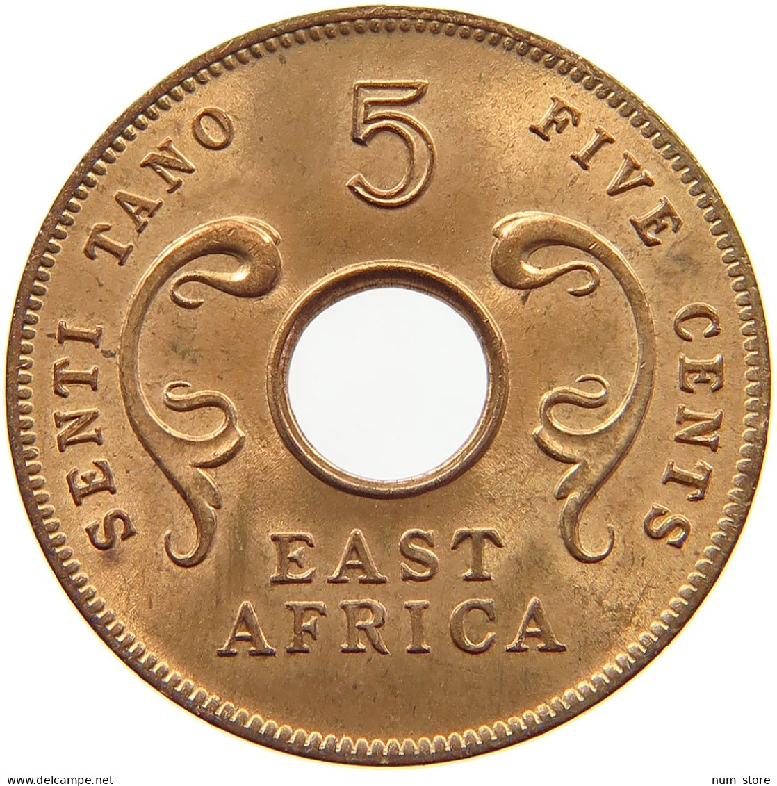 EAST AFRICA 5 CENTS 1964 Elizabeth II. (1952-2022) #a084 0357 - Ostafrika Und Herrschaft Von Uganda