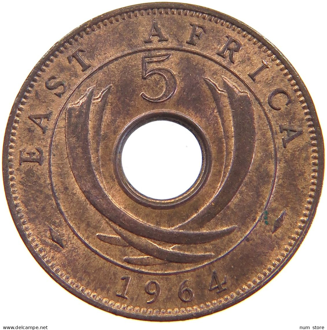 EAST AFRICA 5 CENTS 1964 Elizabeth II. (1952-2022) #c071 0495 - Ostafrika Und Herrschaft Von Uganda