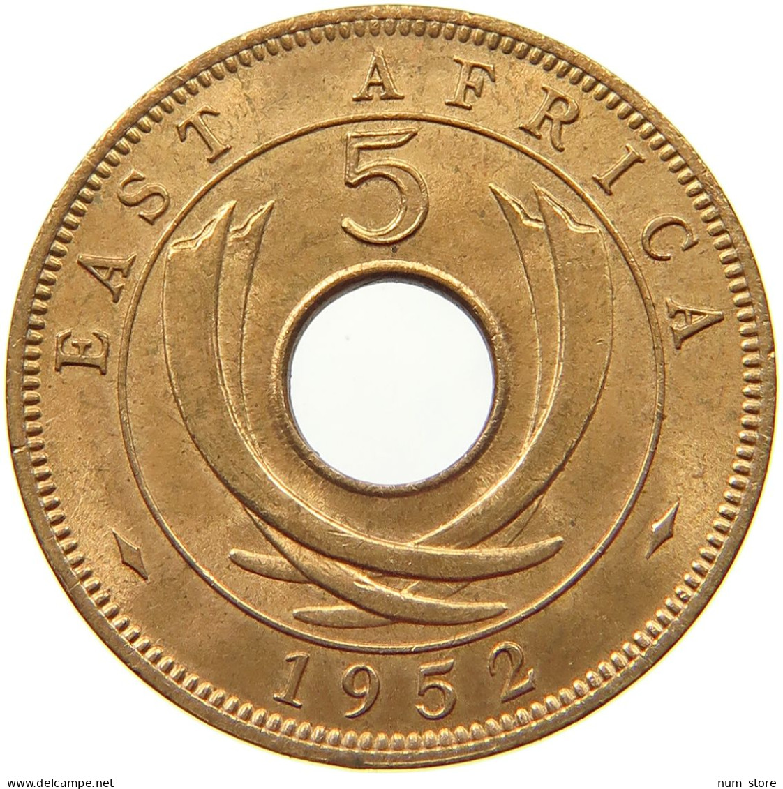 EAST AFRICA 5 CENTS 1952 George VI. (1936-1952) #s046 0503 - Afrique Orientale & Protectorat D'Ouganda