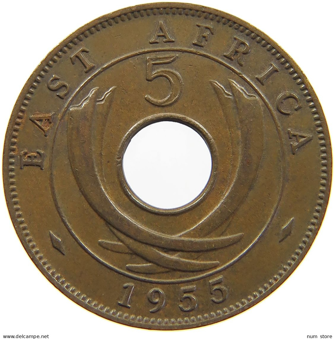 EAST AFRICA 5 CENTS 1955 Elizabeth II. (1952-2022) #c012 0361 - East Africa & Uganda Protectorates