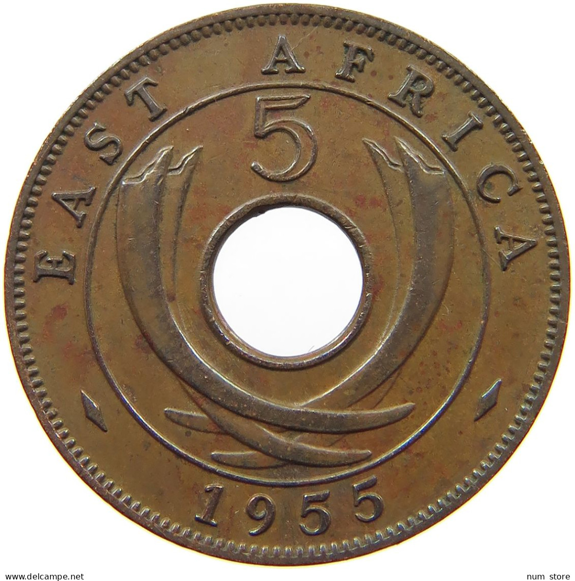 EAST AFRICA 5 CENTS 1955 Elizabeth II. (1952-2022) #a095 0211 - Ostafrika Und Herrschaft Von Uganda