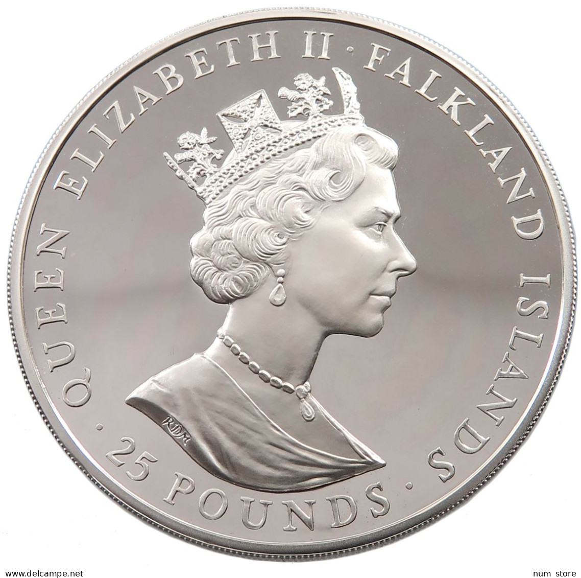 FALKLAND ISLANDS 25 POUNDS 1985 Elizabeth II. (1952-2022) #tm6 0093 - Falkland