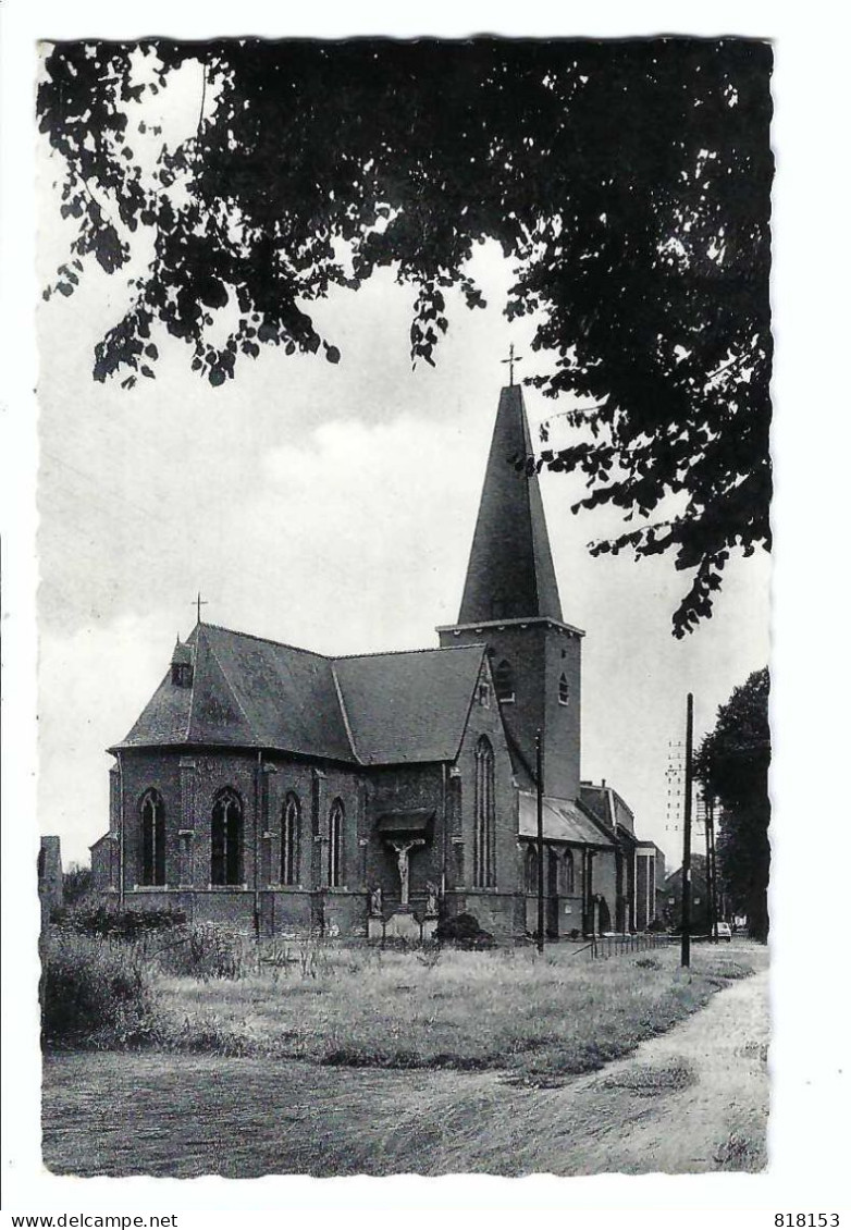 St-Job-in-'t-Goor  Kerk V D H Man Job - Brecht