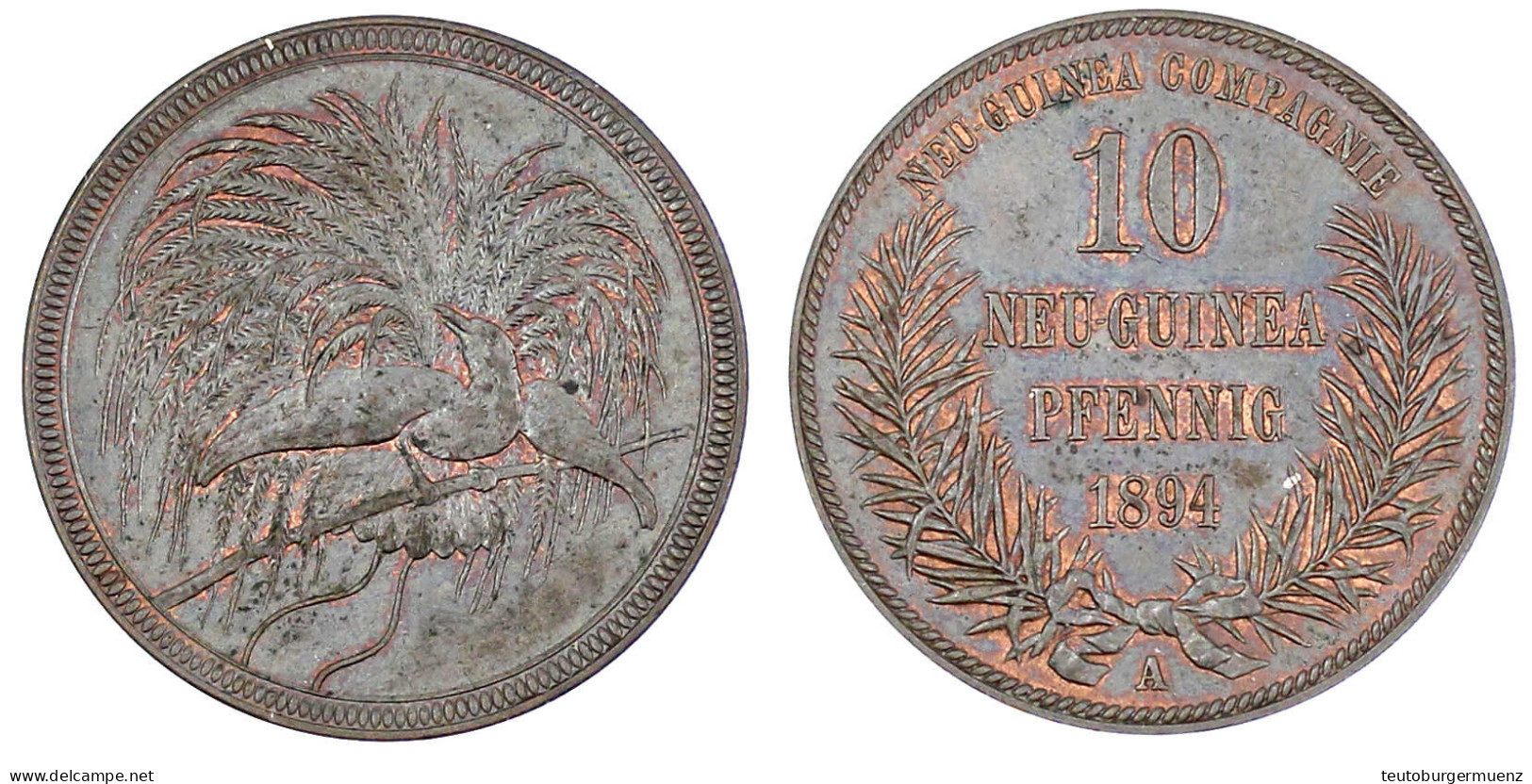 10 Neuguinea-Pfennig 1894 A. Vorzüglich. Jaeger 703. - German New Guinea