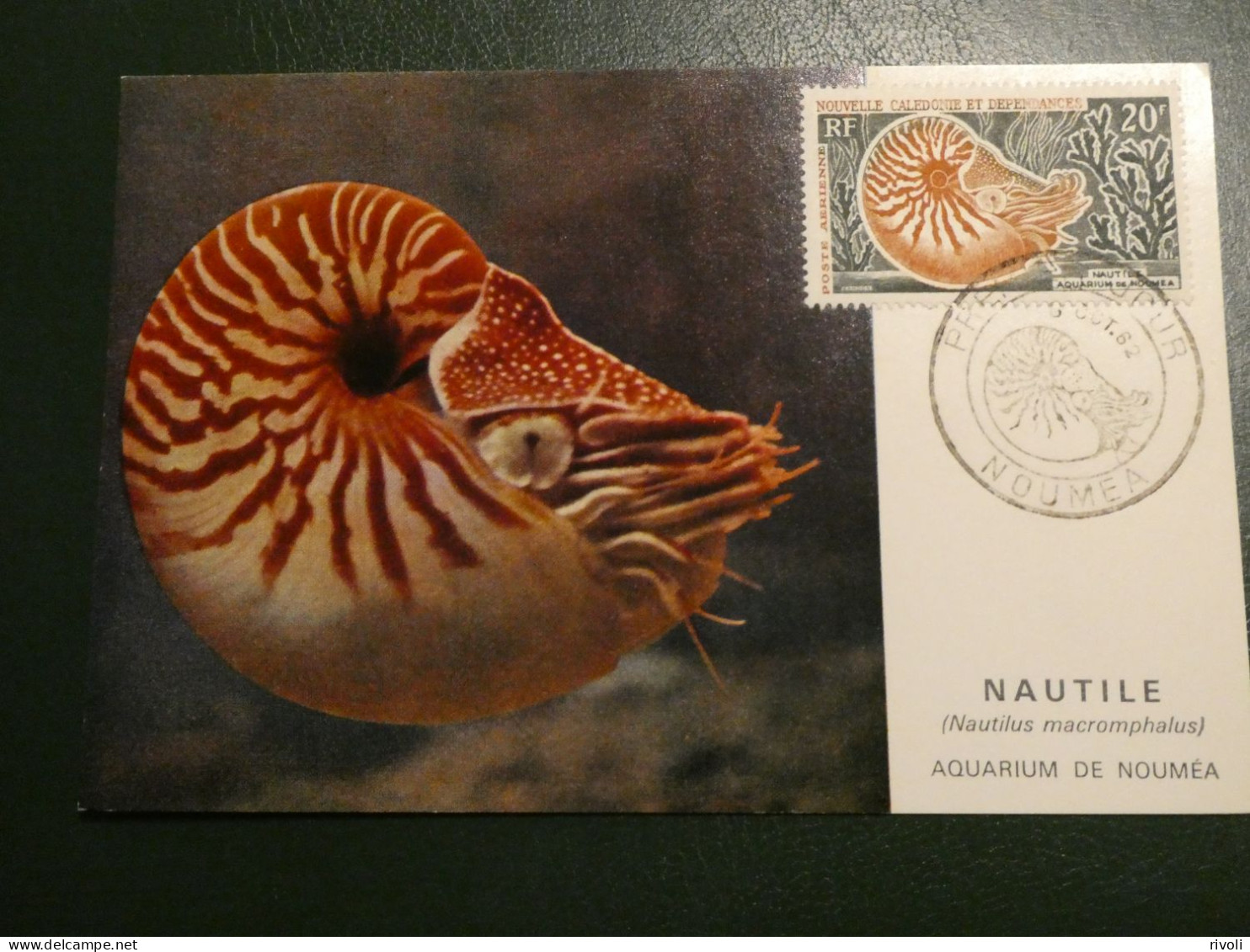 NOUVELLE CALEDONIE - CARTE MAXIMUM Fdc 1962 -NAUTILE AQUARIUM DE NOUMEA PA71 - Covers & Documents