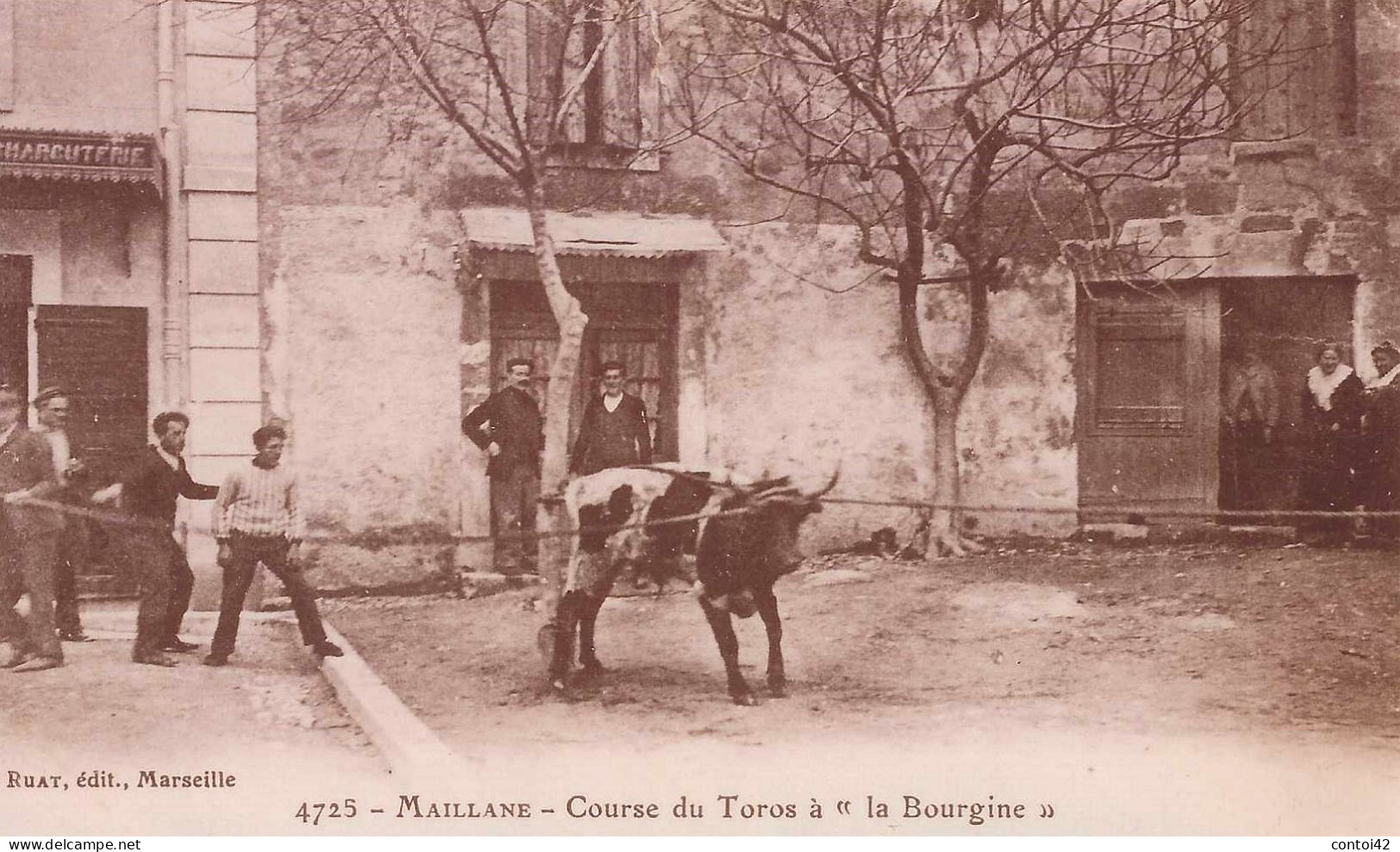 13 MAILLANE REPRODUCTION COURSE DE TAUREAUX A LA BOURGINE BOUCHES-DU-RHONE - Places