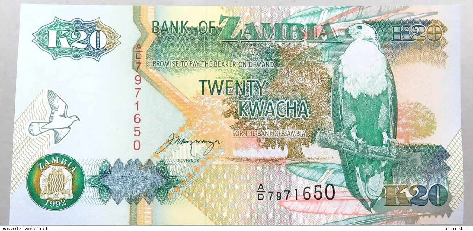 ZAMBIA 20 KWACHA   #alb051 1815 - Zambie