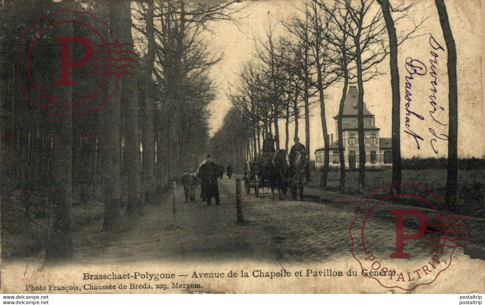 Brasschaet-Polygone - Avenue De La Chapelle Et Pavillon Du Général ANTWERPEN ANVERS  BELGIE BELGIQUE - Brasschaat