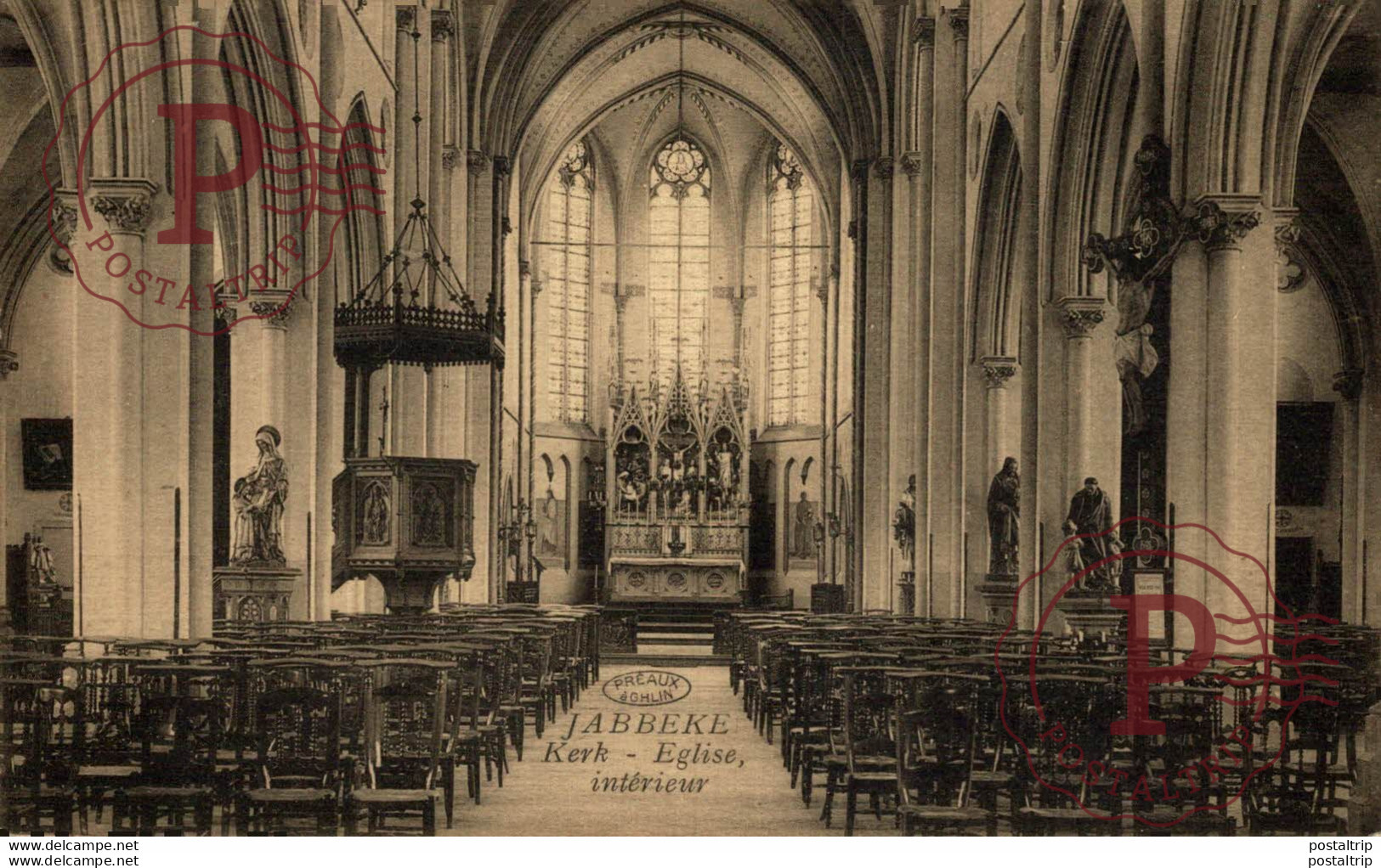 Jabbeke Kerk Intérieur BELGIE BELGIQUE - Jabbeke