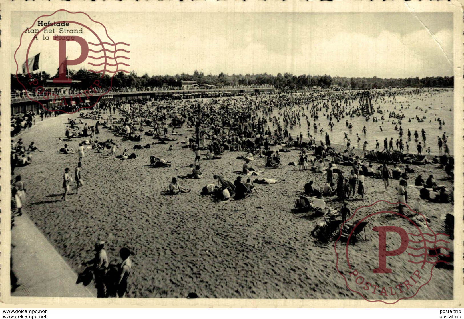 Hofstade Aan Het Strand A La Plage   BELGIE BELGIQUE - Zemst