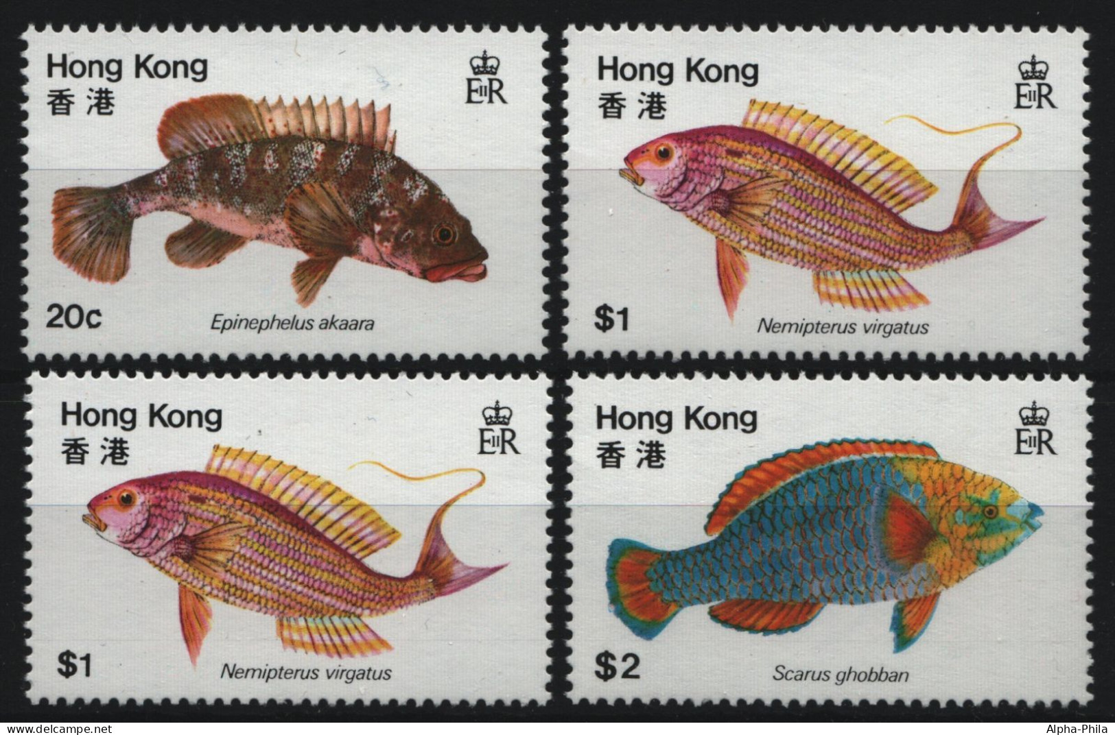 Hongkong 1981 - Mi-Nr. 368-371 ** - MNH - Fische / Fish - Ongebruikt