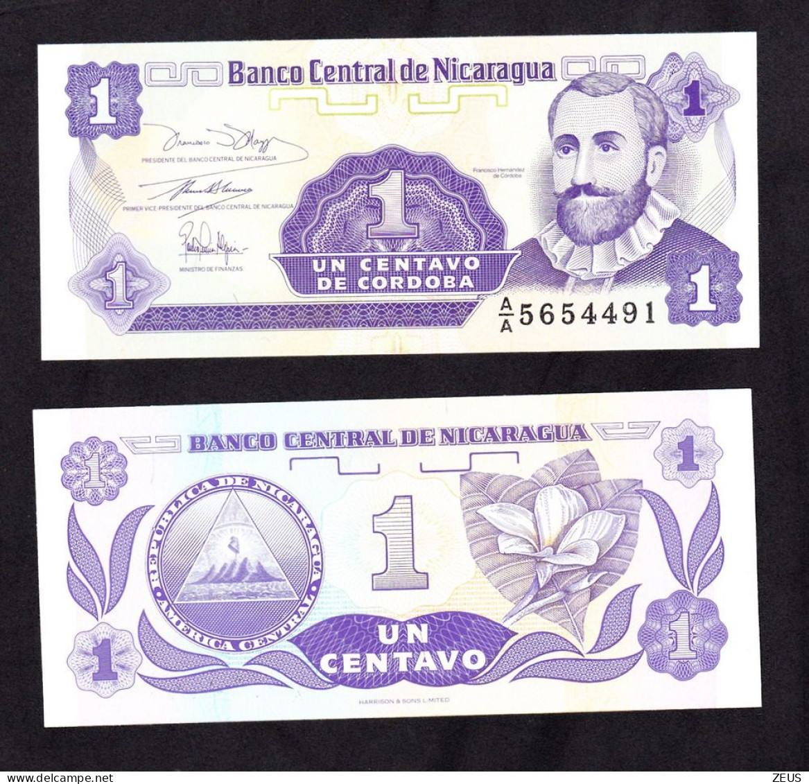 NICARAGUA 1 CENTAVO 1991  PIK 167 FDS - Nicaragua