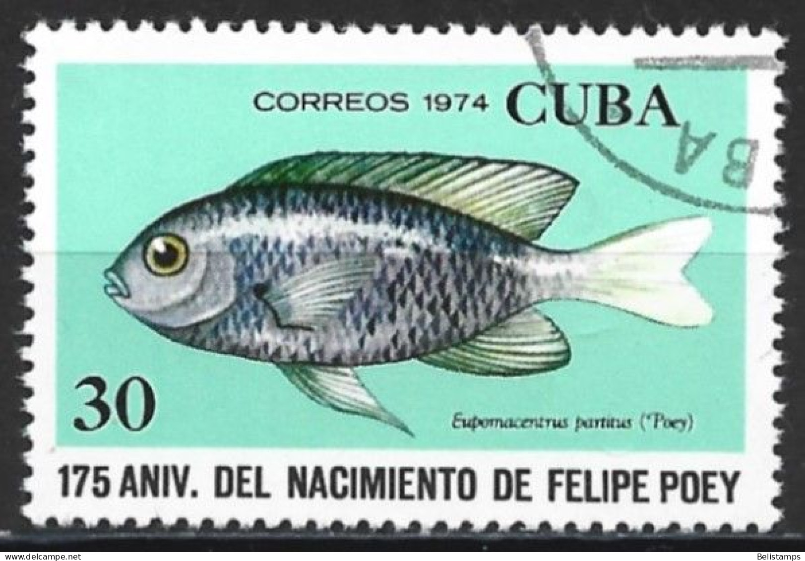 Cuba 1974. Scott #1898 (U) Felipe Poey (1799-1891), Naturalist, Fish, Eupomacentrus Partitus - Used Stamps