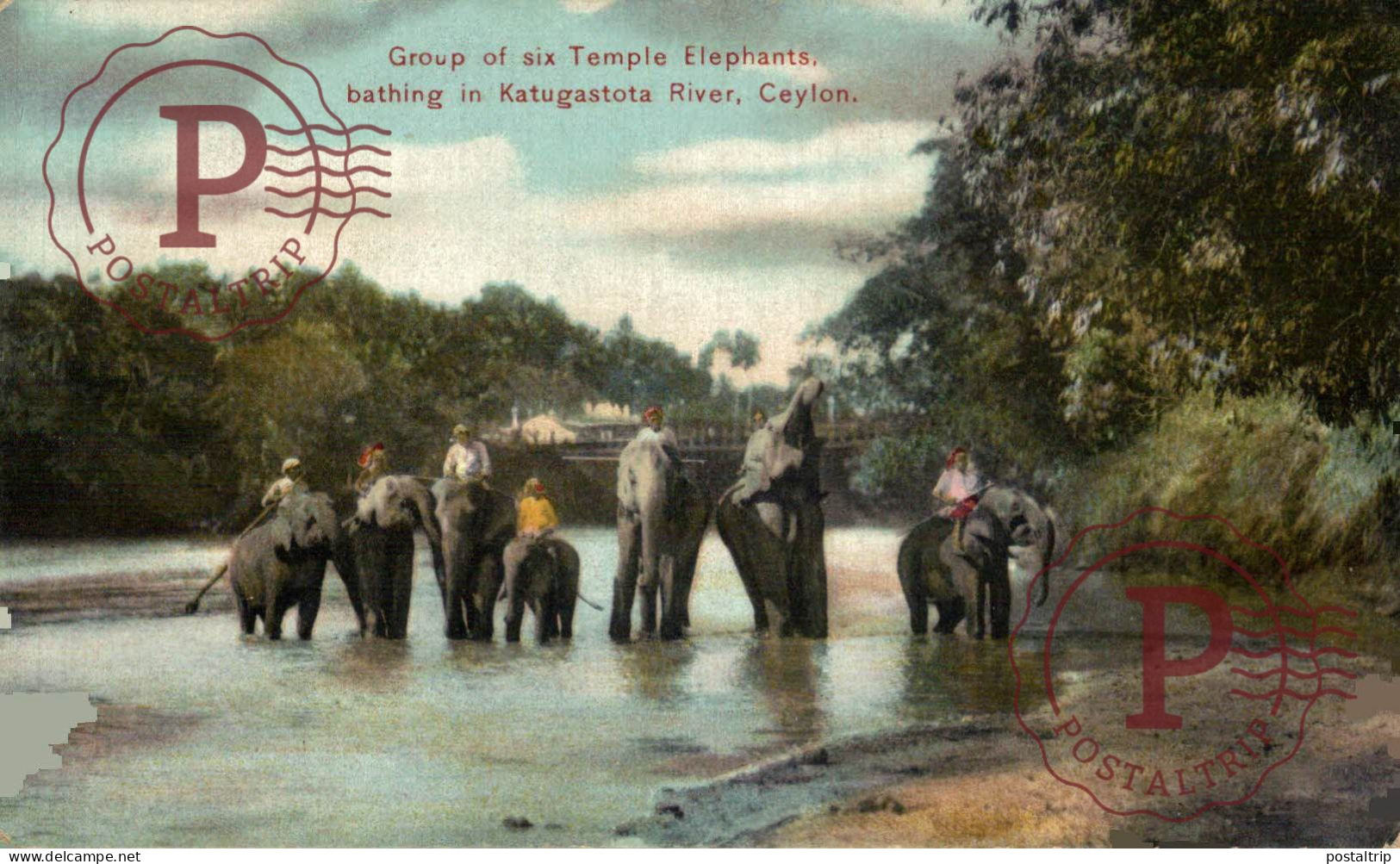 SRI LANKA CEYLON - CEYLAN. Group Of Six Temple éléphants - Sri Lanka (Ceylon)