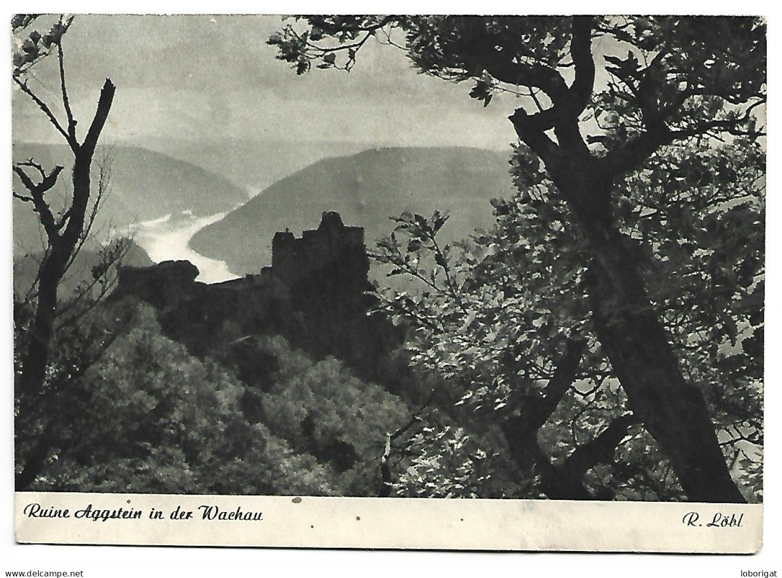 RUINE AGGSTEIN IN DER WACHAU.-  WACHAU.- ( AUSTRIA ) - Wachau