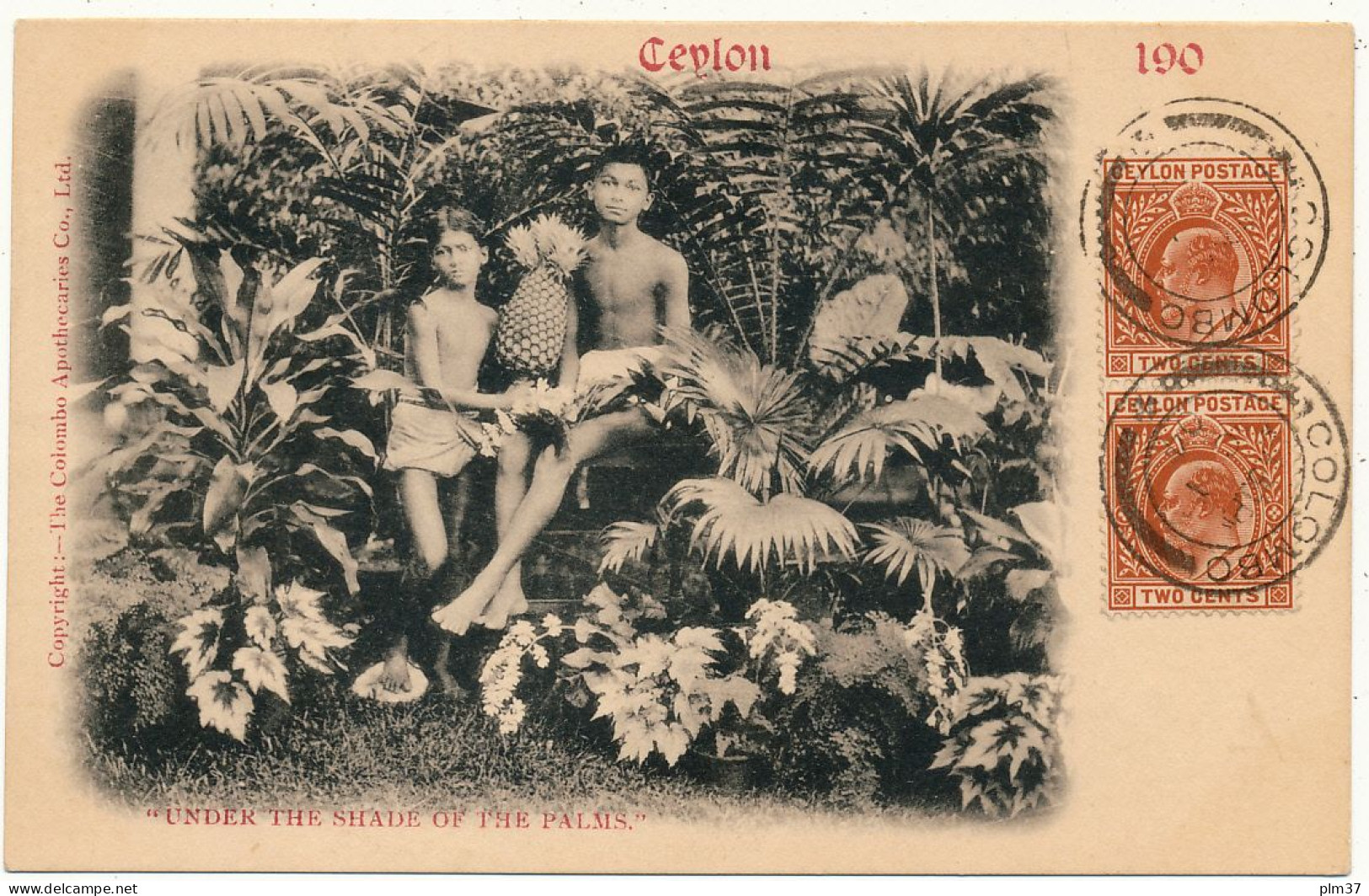 CEYLON - Under The Shade Of The Palms - Sri Lanka (Ceylon)