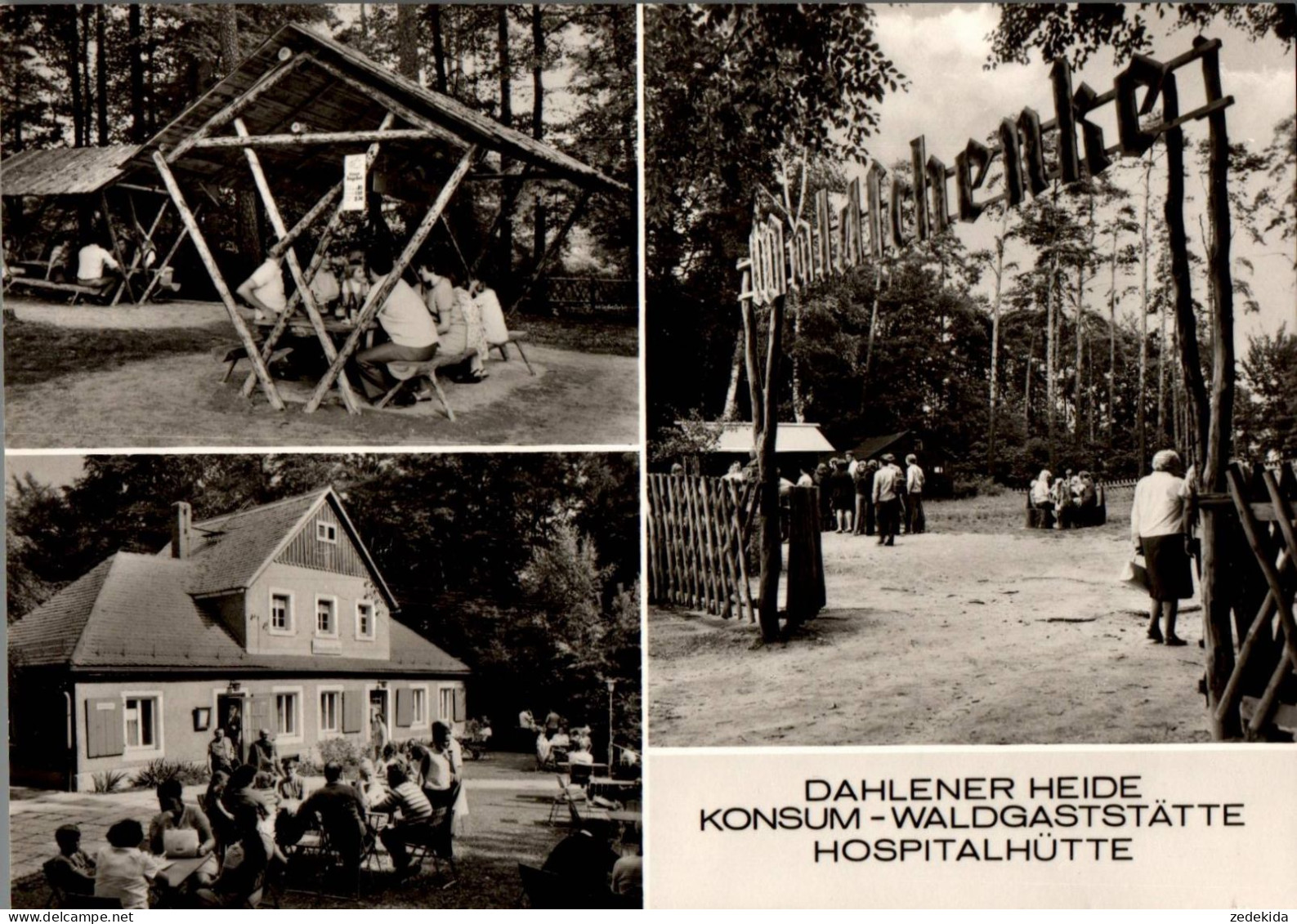 G6645 - Dahlen Dahlener Heide - Konsum Gaststätte Hospitalhütte Waldschenke - VEB Bild Und Heimat Reichenbach - Dahlen