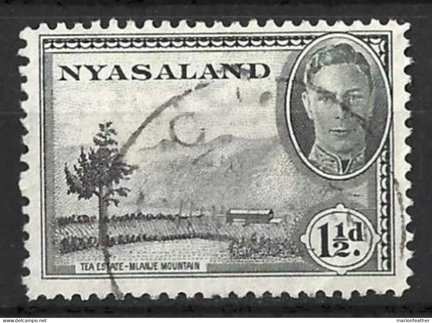 NYASALAND...KING GEORGE VI..(1936-52..)..." 1945.."...1 & HALFd.....SG146...... CDS......VFU... - Nyassaland (1907-1953)