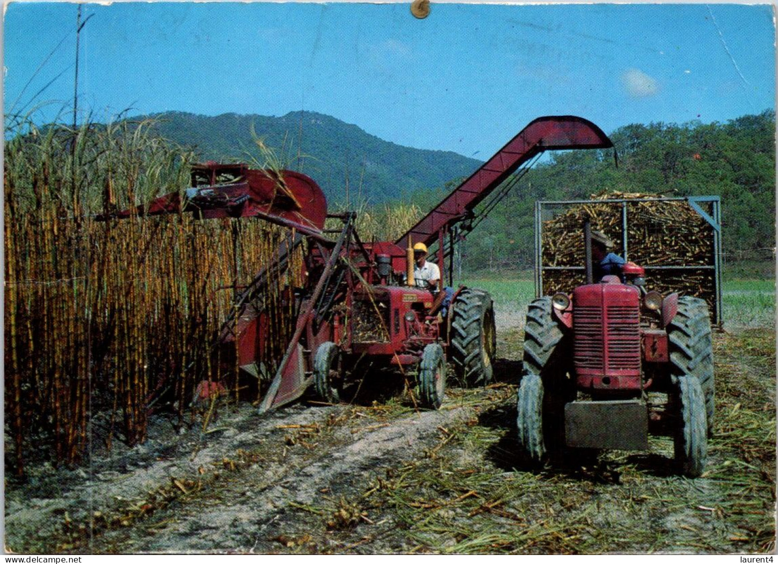 8-11-2023 (1 V 40) Australia (posted With Stamp 1966) - QLD - Sugar Cane Farming - Great Barrier Reef