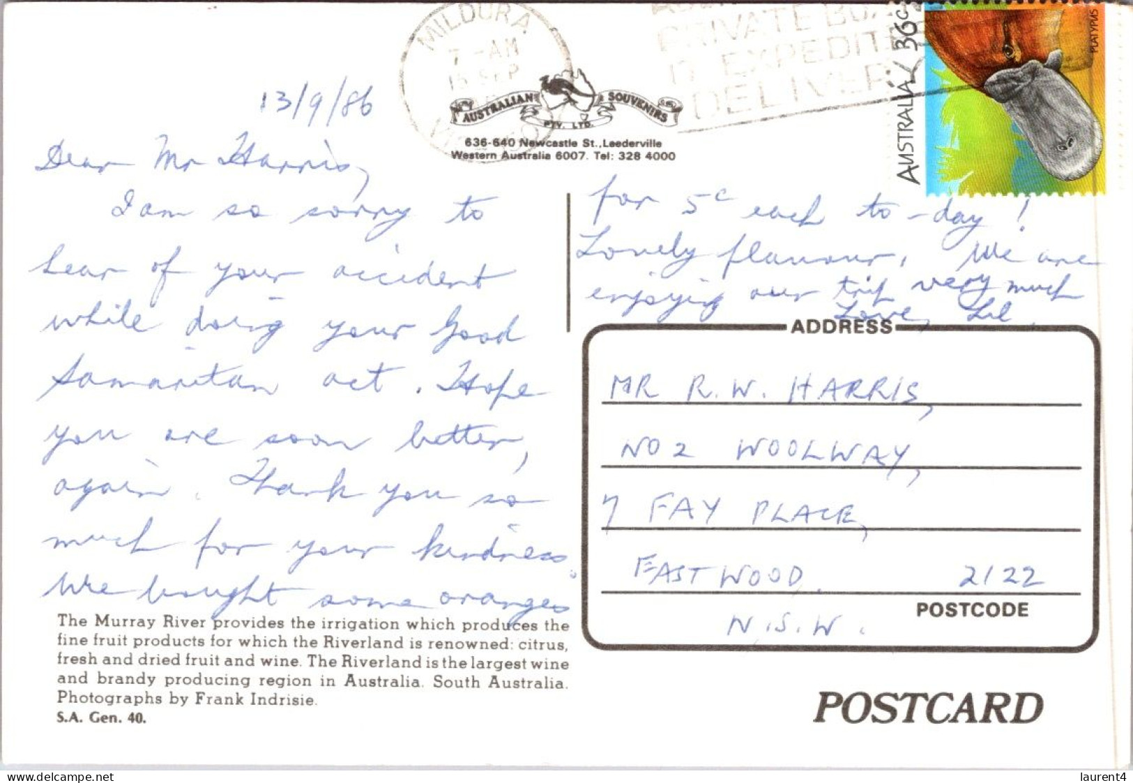 8-11-2023 (1 V 40) Australia (posted With Stamp 1986) - SA - Riverland Fruits - Autres & Non Classés