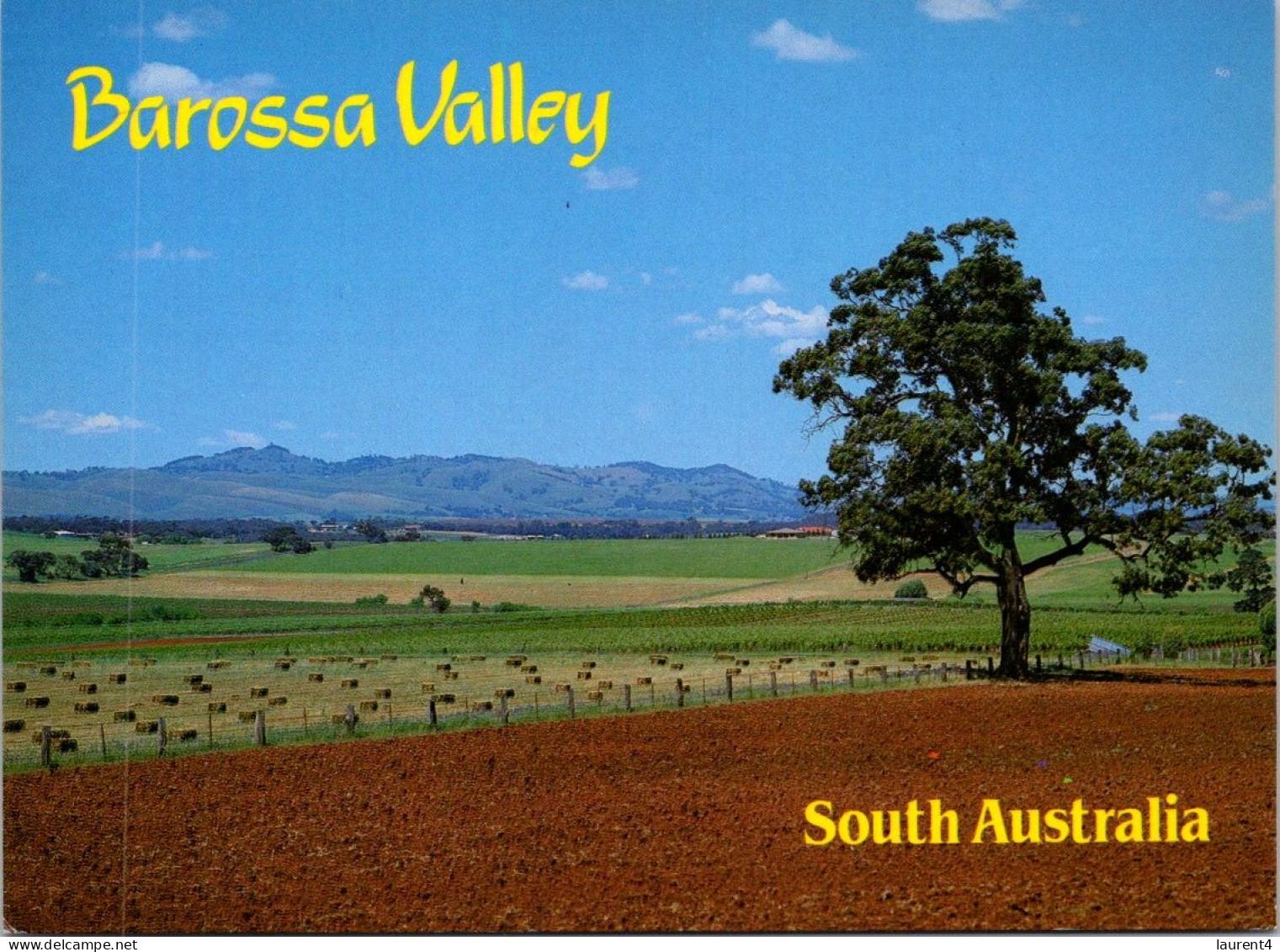 8-11-2023 (1 V 40) Australia (posted With Stamp 1986) - SA - Barossa Valley - Barossa Valley