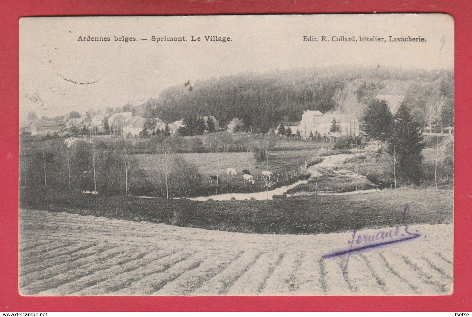 Sprimont / Amberloup  - Le Village -1906 ( Voir Verso ) - Sainte-Ode