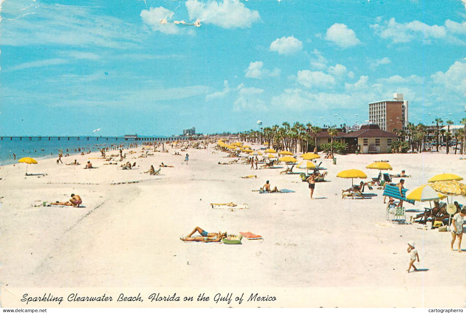 Postcard United States Florida Sparkling Clearwater Beach Florida And Gulf Of Mexico - Clearwater